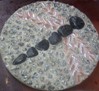 Stepping stone - Dragonfly design Stepping stone - Dragonfly design