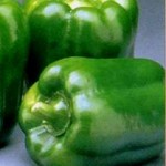 green_peppers1231794320 green_peppers1231794320