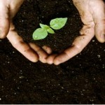soil soil