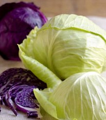 cabbage2