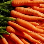 carrot1 carrot1