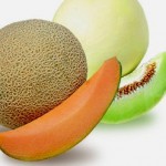 melon melon