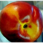 nectarine nectarine