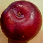 plum plum