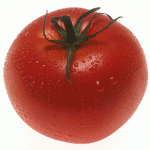 tomato