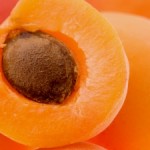 apricot