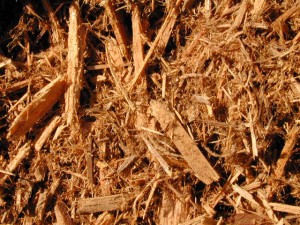 cypressmulch20880003_std