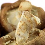 shiitaki-mushrooms-thumb1159969 shiitaki-mushrooms-thumb1159969