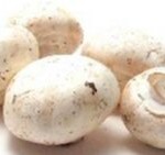 white-mushrooms white-mushrooms
