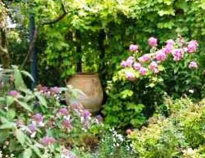 environmental-garden-2 Top 10 green Gardening Tips