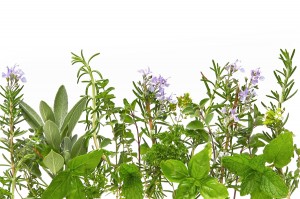 organic-health-cures