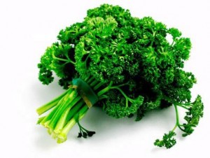 parsley1 parsley1