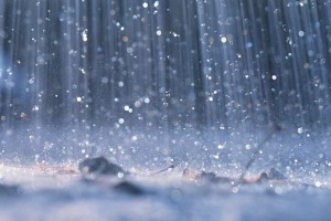 rain-main_full