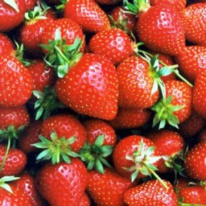 strawberries2