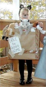 abipetcost Pets for Sale