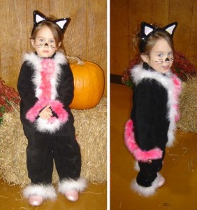 hcjuliancat Kitty Kat