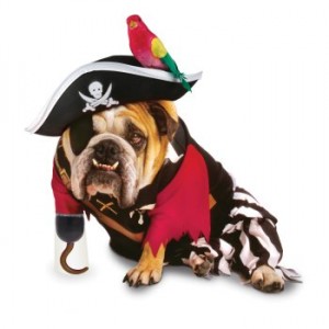 pirate-300x300