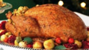 turkey-1