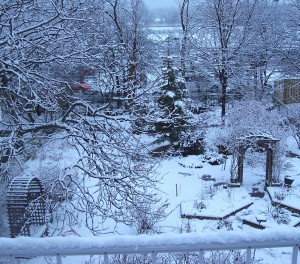 mcknightwinter