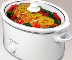slowcooker