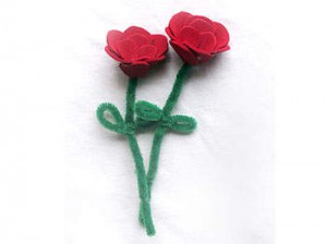 350x262_foam-rose2_rdax_651 350x262_foam-rose2_rdax_651