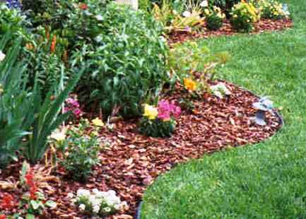 mulch.jpg