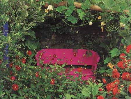 opt-pink-bench-garden-zinni.jpg