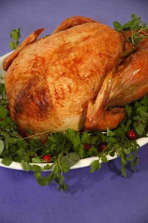 Recipes for roasting turkey