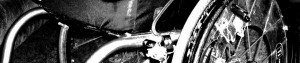 cropped-freedom