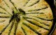 Asparagus Ricotta tart 001