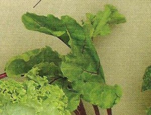 beet greens