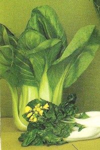 bok choy