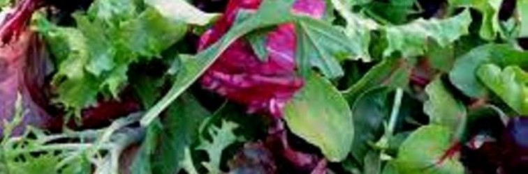 greens-feature