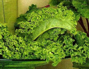 kale