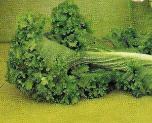 mustard greens