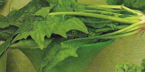 spinach