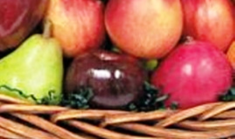 fruits feature