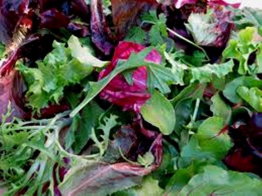 greens-feature